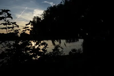 DSC_2901 (Large).JPG